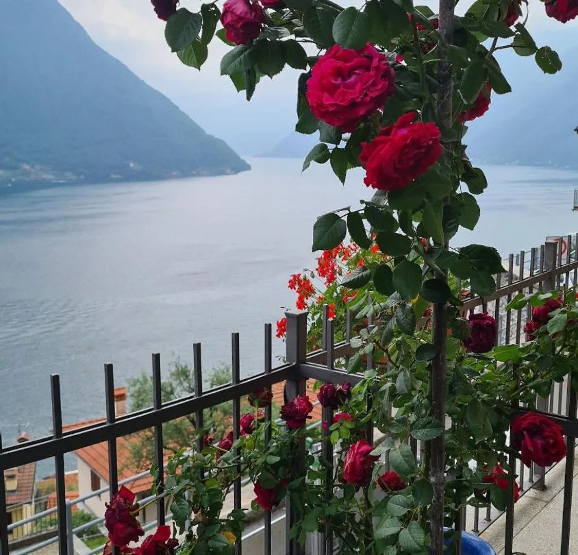Apartment Colonno Panoramica Lago Di Como Italien